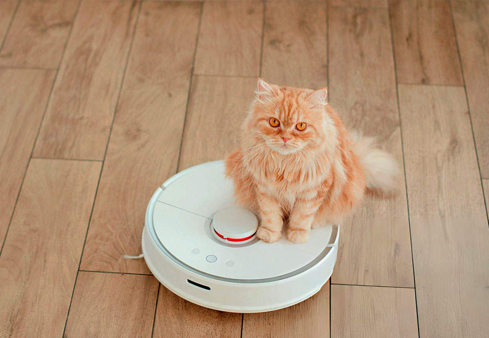 Cuál es la mejor aspiradora robot para pelos de gato